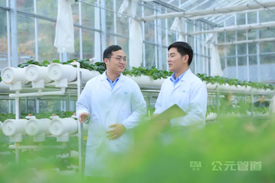 太阳GG(中国集团)官方网站